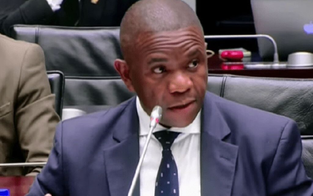 Mkhwanazi ontbloot korrupsie en versuim tydens 2021-onrus in Parlementêre verhoor