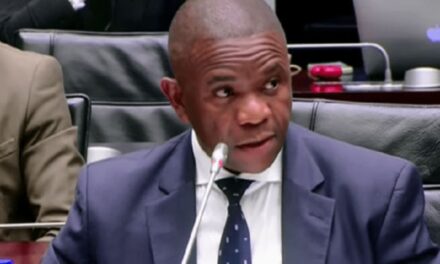 Mkhwanazi ontbloot korrupsie en versuim tydens 2021-onrus in Parlementêre verhoor
