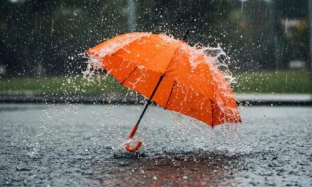 SA se natste lente in jare