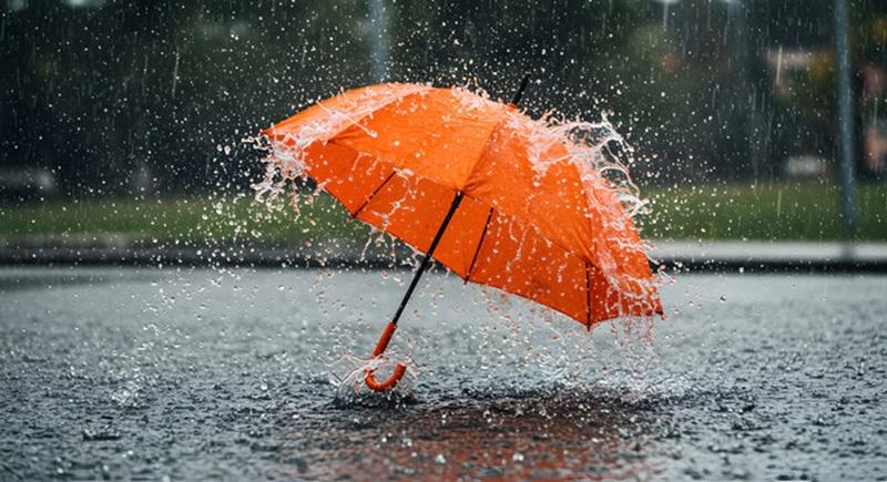 SA se natste lente in jare