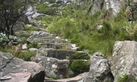 Huweliksreis kry warm draai op Tafelberg