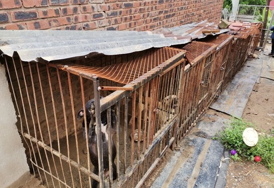 Pietermaritzburgse teler skuldig bevind