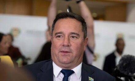 Steenhuisen bedank as DA-leier, bly aan as minister van Landbou
