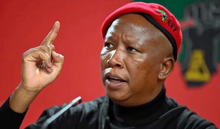Bozell-omstredenheid groei ná Malema se “rassis”-uitspraak