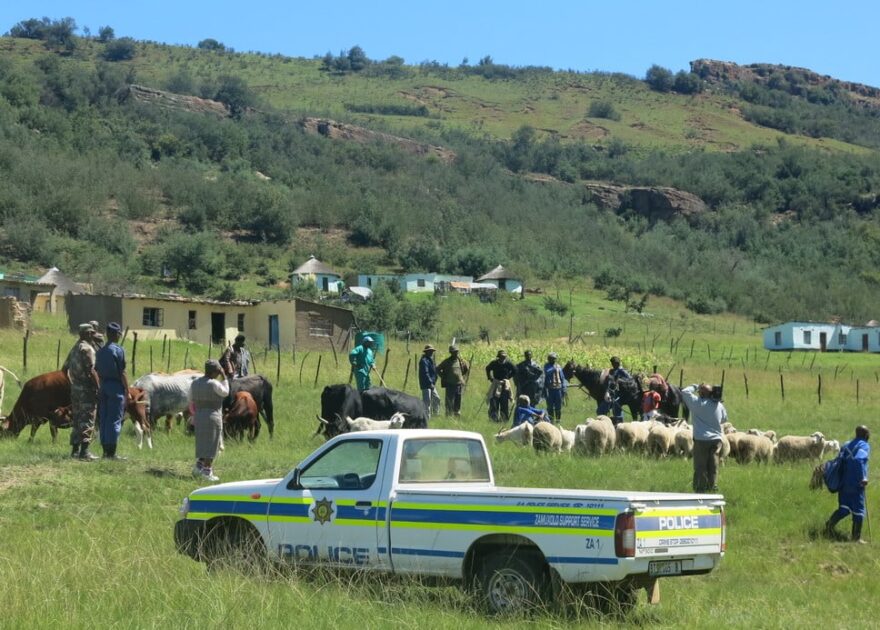 AfriForum bevraagteken veediefstalstatistiek