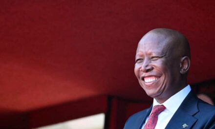 Malema beskuldig landdros van “rassisme” en dreig aanklaer
