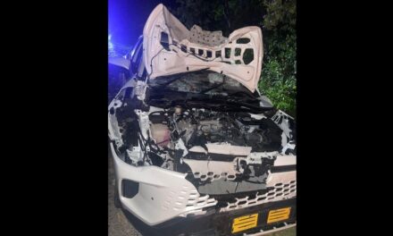 “Engele” op N2: Vroue beskerm motoris teen plundering