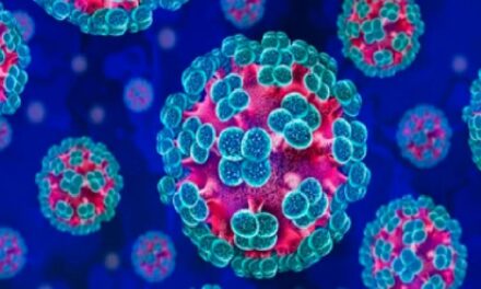 Hantavirus verduidelik: Wat, waar en waarom?