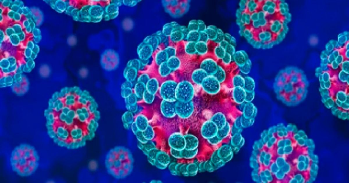 Hantavirus verduidelik: Wat, waar en waarom?