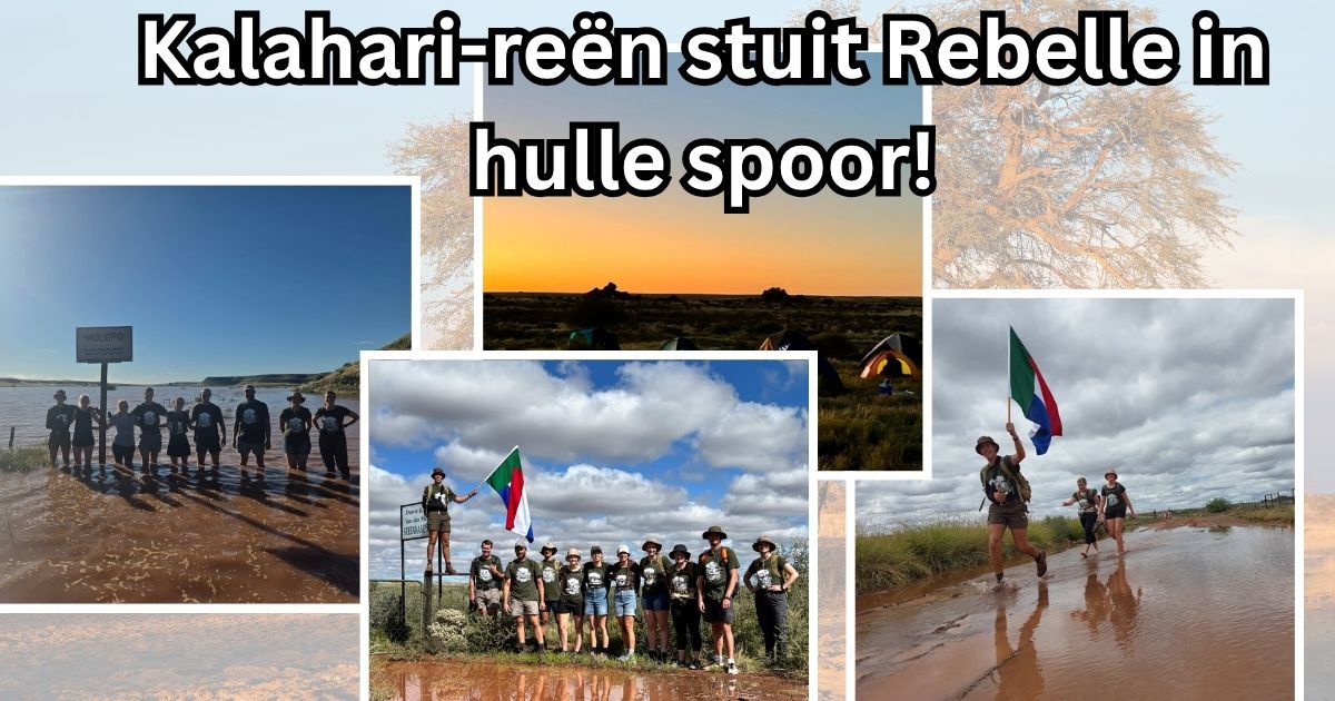 Kalahari-reën stuit Rebelle in hulle spoor!