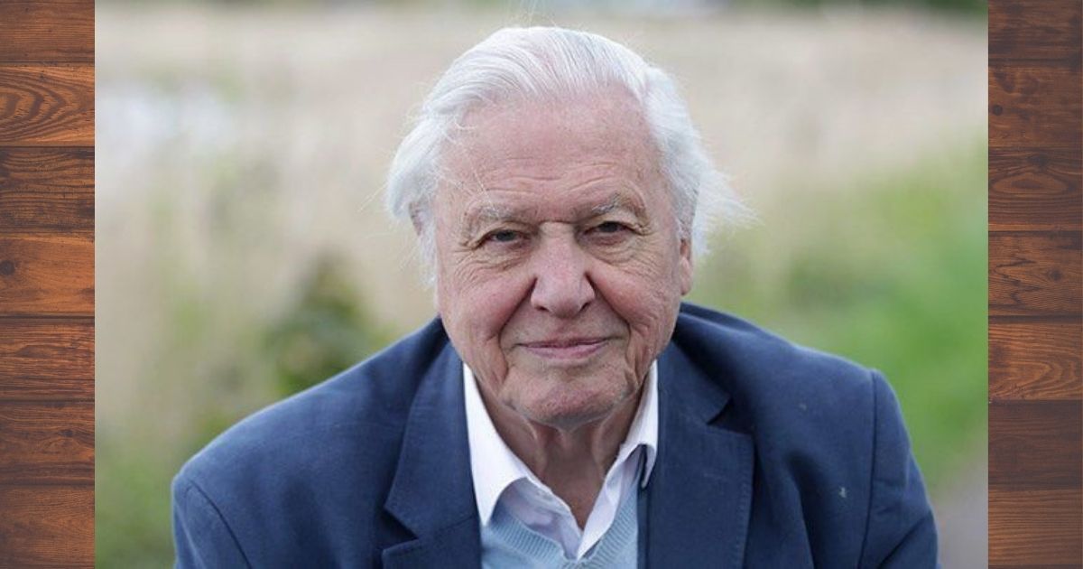 David Attenborough vier 100ste verjaarsdag vandag!