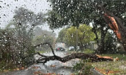 Kaap van Storms doen sy naam weer gestand!