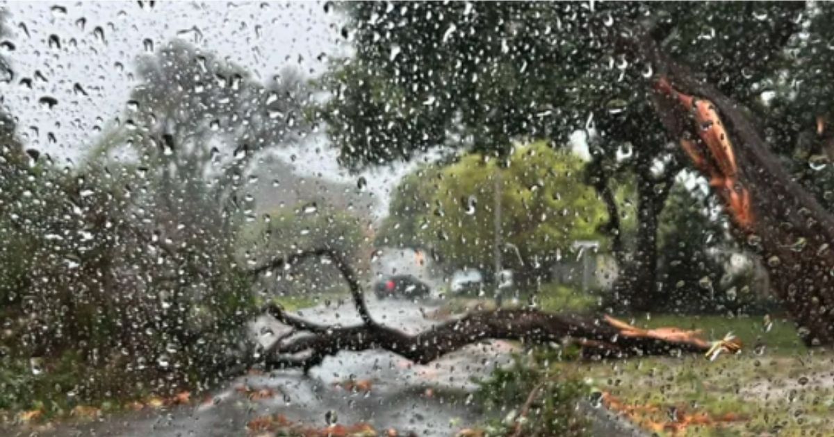 Kaap van Storms doen sy naam weer gestand!