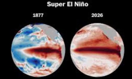 Super-El Niño kan voedselpryse en inflasie opstoot tot dubbelsyfers
