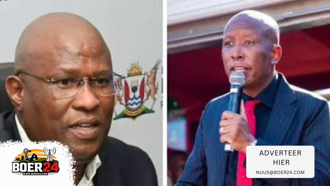 Hof verwerp Mabuyane se poging om Malema stil te maak
