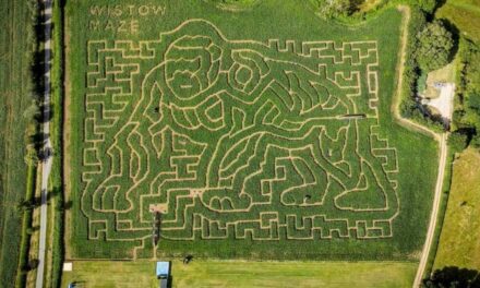 Reuse-doolhof vier Sir David Attenborough se 100ste verjaardag