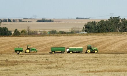 Onveranderde rentekoerse bring verligting vir landbou