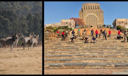 Viervoete versterk Voortrekkermonument se veiligheid én natuurskoon