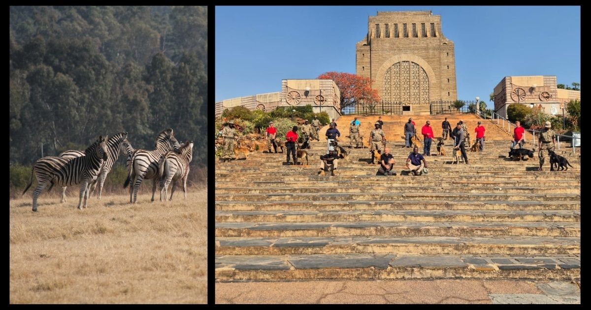 Viervoete versterk Voortrekkermonument se veiligheid én natuurskoon