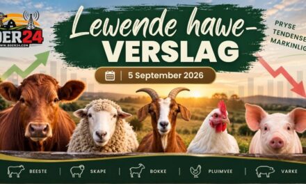 Lewende hawe-verslag 5 September 2026