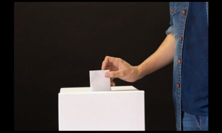 Waar Suid-Afrika se nuwe populiste steun kry