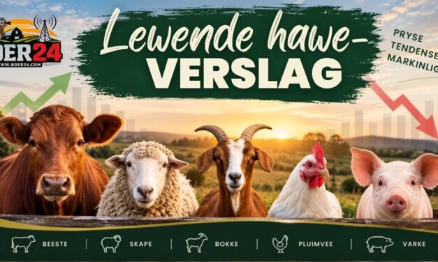 Lewende hawe-verslag 19 September 2026