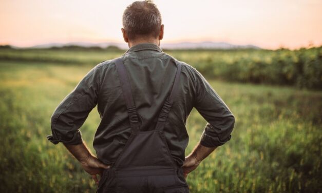 Rentekoersverhoging maak plantseisoen duurder vir boere