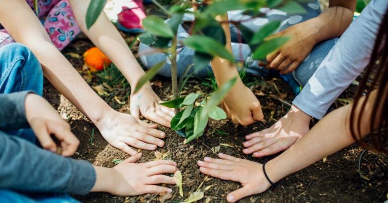 Tien miljoen bome word landwyd geplant vir Erfenisdag