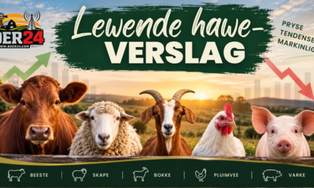 Lewende hawe-verslag 12 September 2026