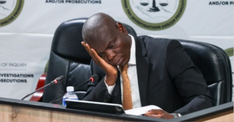 Lamola eis dat burgerskap ontneem word van mense wat glo “vals inligting” oor SA versprei