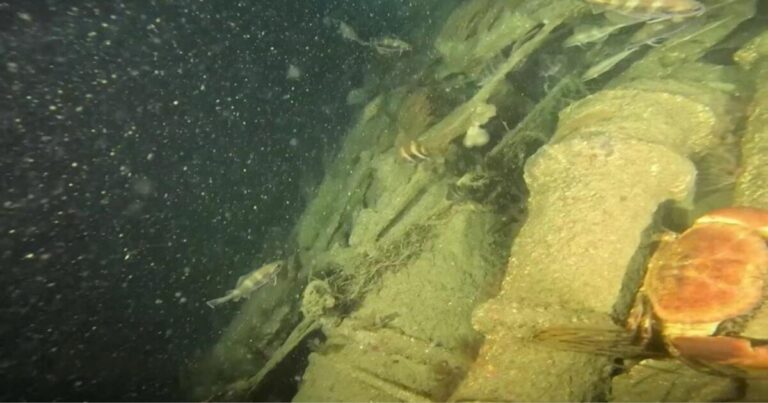Vermiste Duitse WW2-duikboot ná 82 jaar aan die kus van Devon gevind