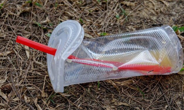 WNNR ontwikkel bioplastiek uit landbou- en bosbou-afval